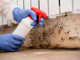 Best HVAC Mold Inspection and Cleaning  in Sahuarita, AZ